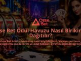 Osse-Bet-Odul-Havuzu-Nasil-Birikir-ve-Dagitilir-overlay-1788730584.jpg